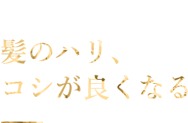 Efficacy 02 髪のハリ、コシが良くなる