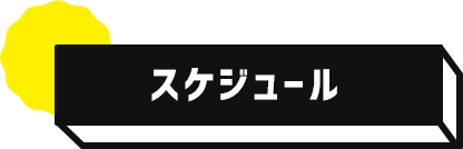 スケジュール