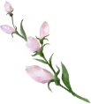 装飾