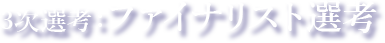 3次選考:ファイナリスト選考