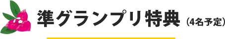 準グランプリ特典(4名予定)