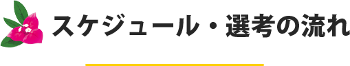 スケジュール・選考の流れ