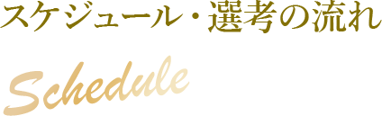 スケジュール・選考の流れ