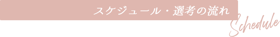 スケジュール・選考の流れ