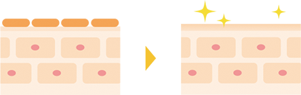 説明画像1