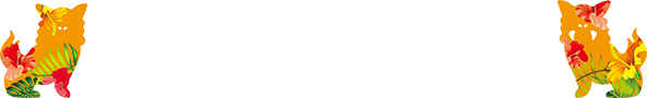 スケジュール