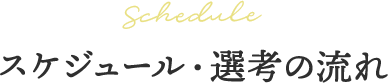 Schedule スケジュール・選考の流れ