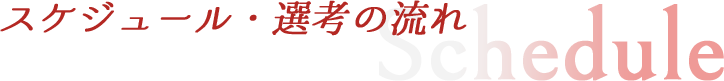 スケジュール・選考の流れ
