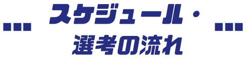 スケジュール・選考の流れ