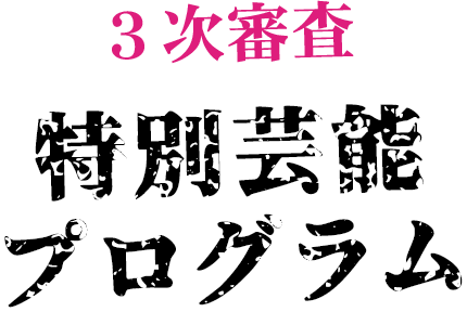 3次審査 特別芸能プログラム