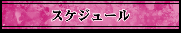 スケジュール